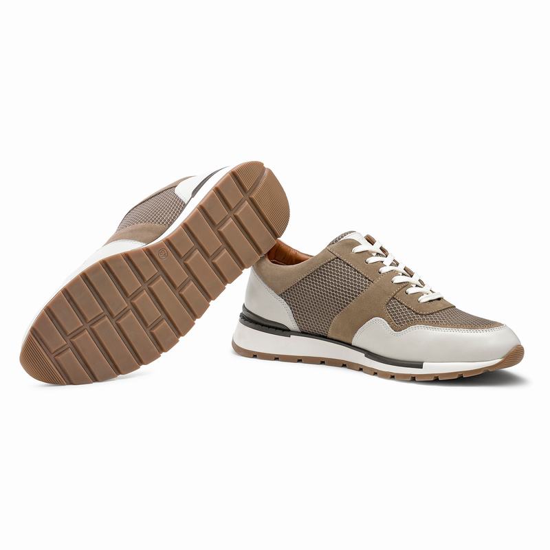 Russell And Bromley Lomond Låga Sneakers Herr Bruna | APN1268AQ