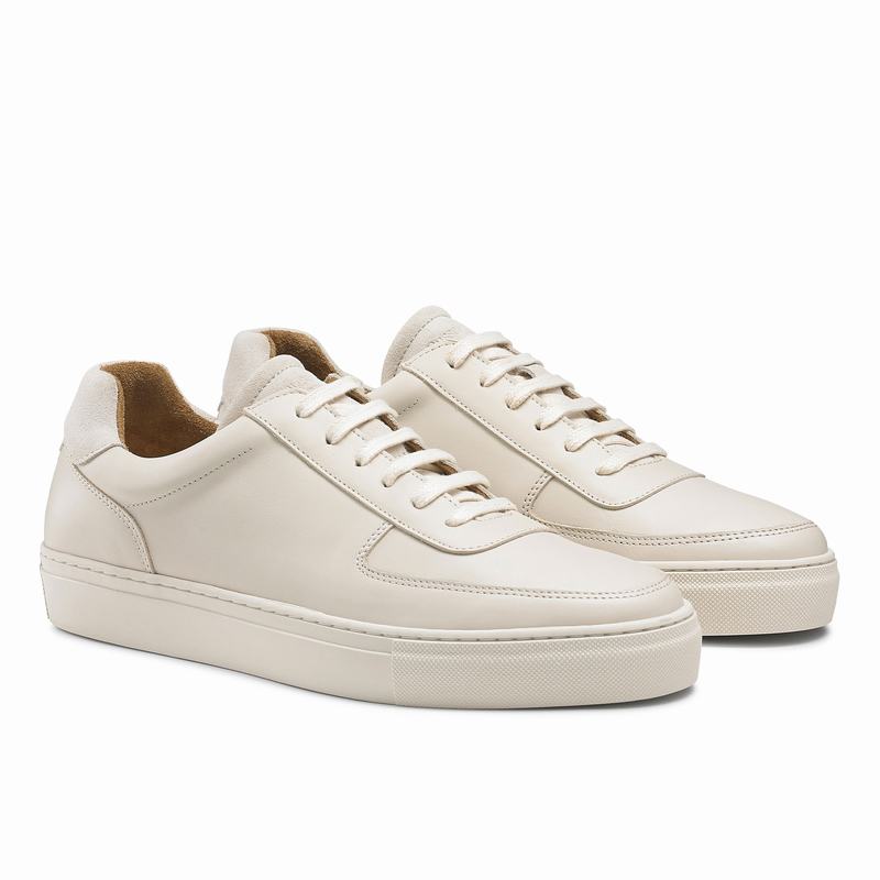 Russell And Bromley Outfield Låga Sneakers Herr Grädde Vita | WCN1620JP