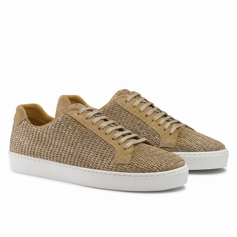 Russell And Bromley Park Run Låga Sneakers Herr Bruna | QNF5383CH